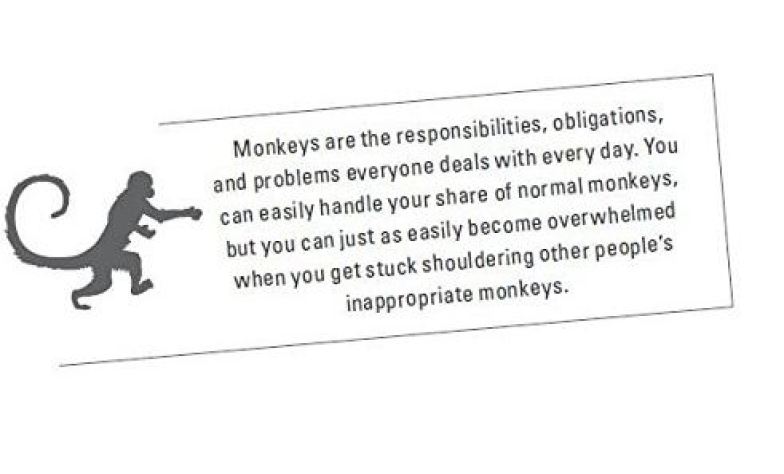 Monkey Book 2-A